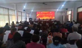 镇平新闻爆料事件视频最新,最新事件视频引发社会关注