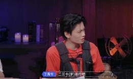 娱乐圈爆料丁禹兮,娱乐圈爆料背后的真相与争议